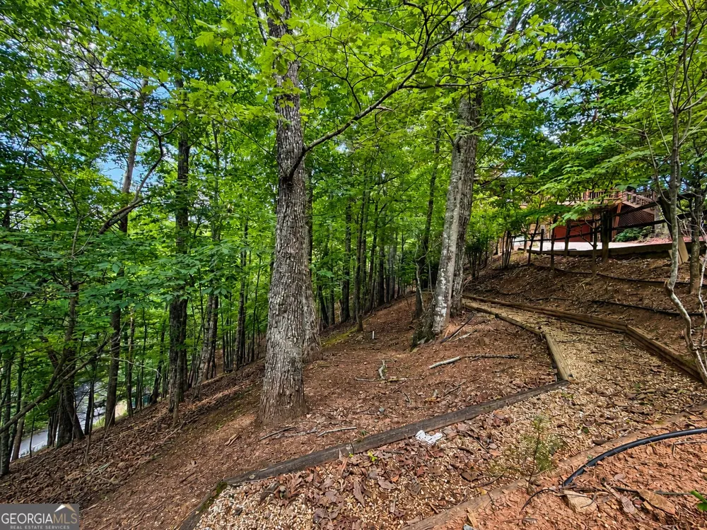 629 My Mountain RD Morganton, GA 30560