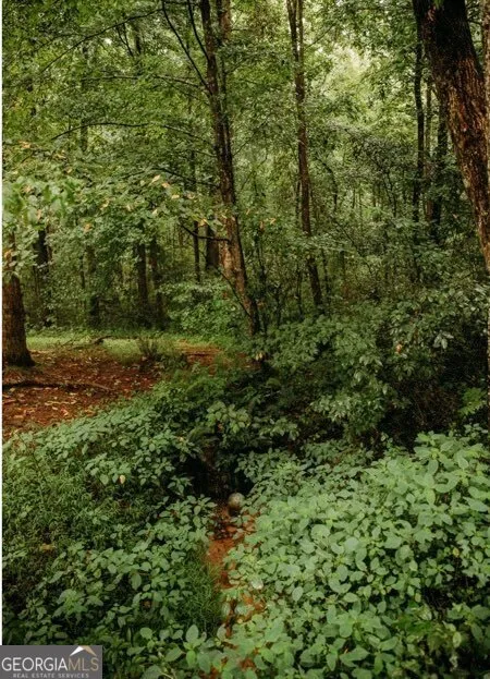 200 Old Woodring RD Ellijay, GA 30540