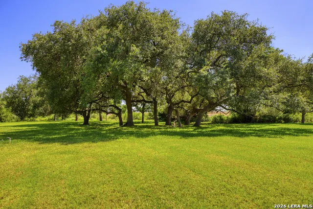 433 MILLS LN Uvalde, TX 78801