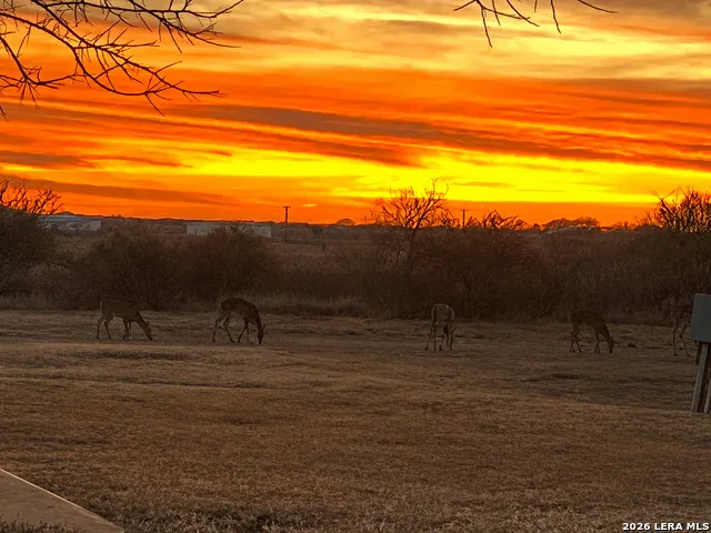 433 MILLS LN Uvalde, TX 78801