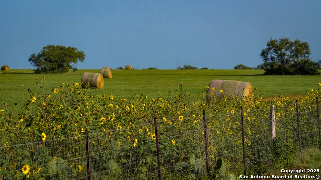 2387 Fm 537 Floresville, TX 78114