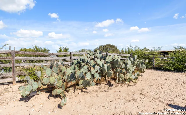 2198 CR 653 Devine, TX 78016