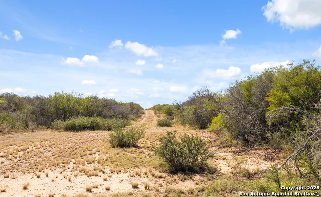2198 CR 653 Devine, TX 78016