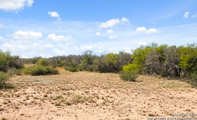 2198 CR 653 Devine, TX 78016