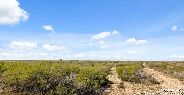 2198 CR 653 Devine, TX 78016