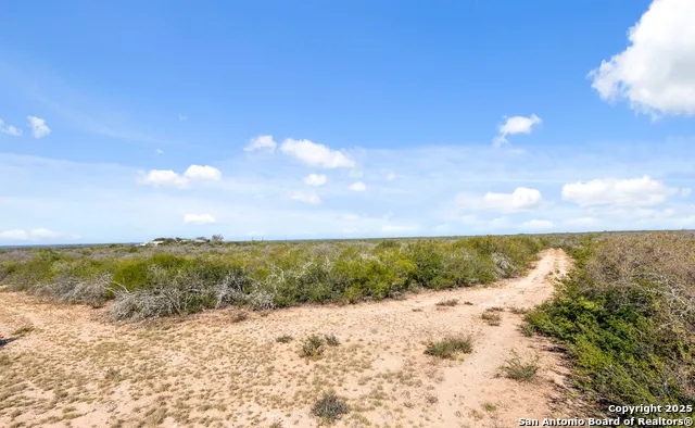 2198 CR 653 Devine, TX 78016