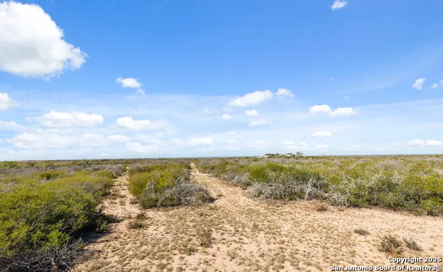 2198 CR 653 Devine, TX 78016