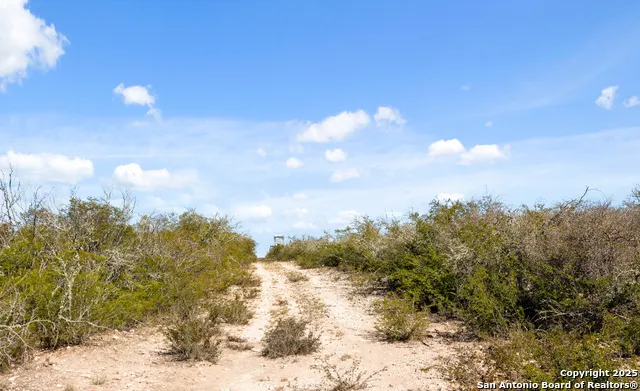 2198 CR 653 Devine, TX 78016