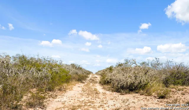2198 CR 653 Devine, TX 78016