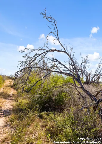 2198 CR 653 Devine, TX 78016