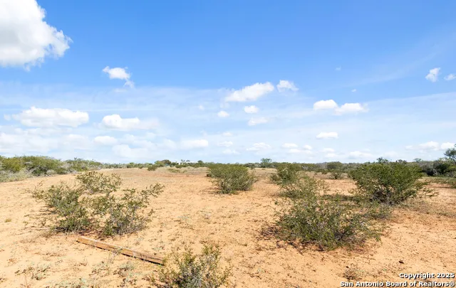 2198 CR 653 Devine, TX 78016
