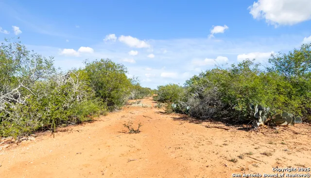 2198 CR 653 Devine, TX 78016