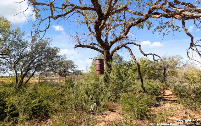 2198 CR 653 Devine, TX 78016