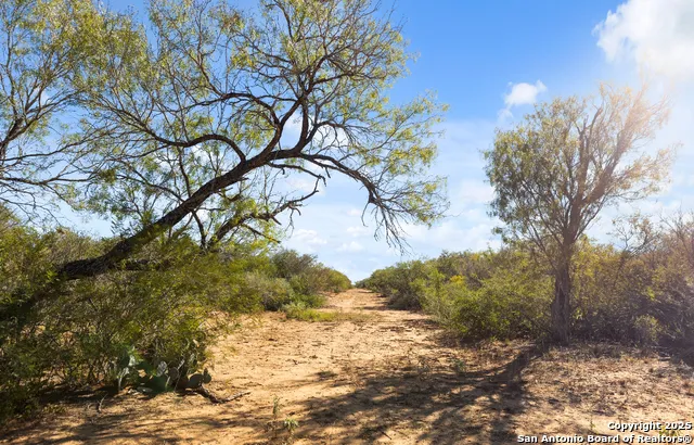 2198 CR 653 Devine, TX 78016
