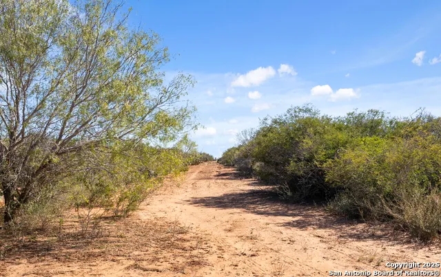 2198 CR 653 Devine, TX 78016