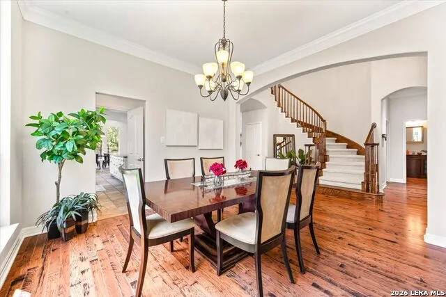162 Yaupon Trl San Antonio, TX 78256