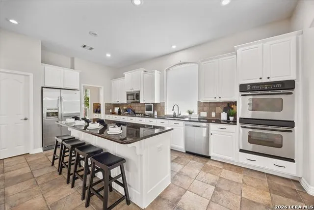 162 Yaupon Trl San Antonio, TX 78256