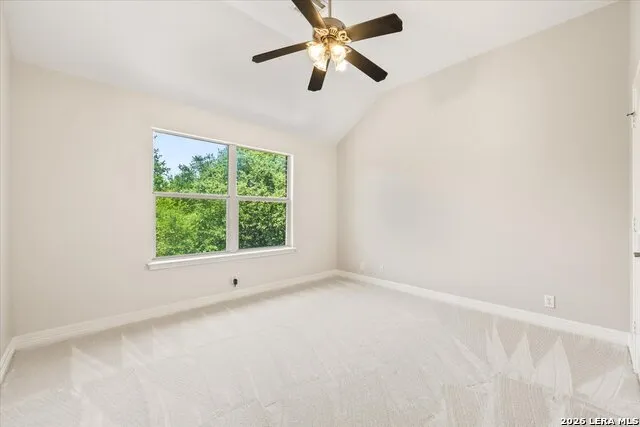 162 Yaupon Trl San Antonio, TX 78256