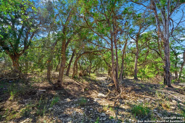 34720 Ansley Ridge Bulverde, TX 78163