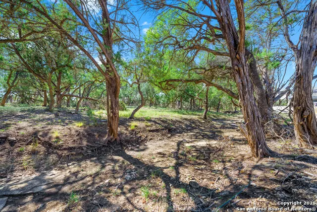 34720 Ansley Ridge Bulverde, TX 78163