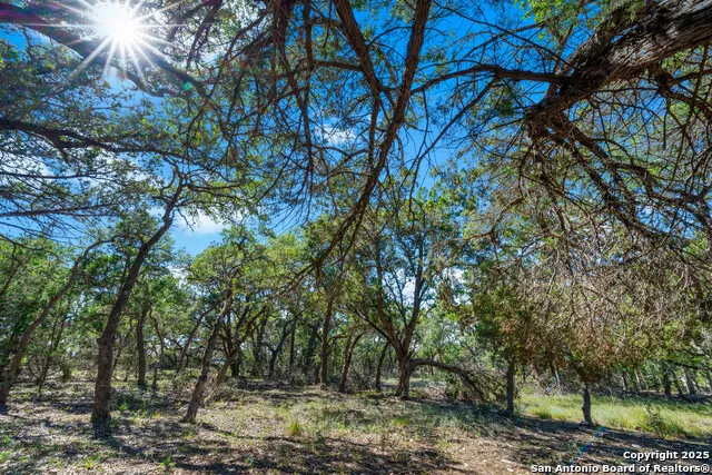 34720 Ansley Ridge Bulverde, TX 78163