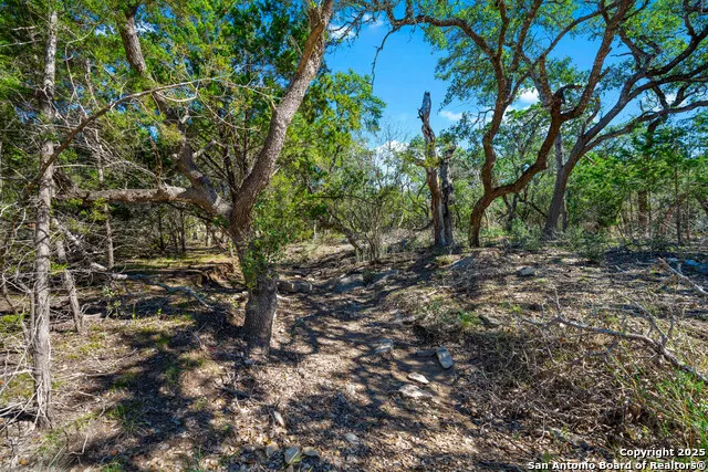 34720 Ansley Ridge Bulverde, TX 78163