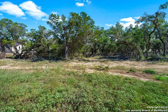 34720 Ansley Ridge Bulverde, TX 78163