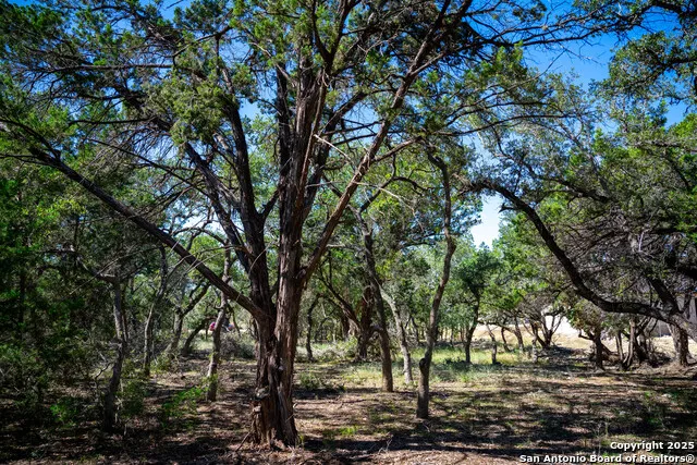 34720 Ansley Ridge Bulverde, TX 78163