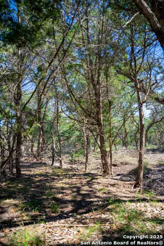34720 Ansley Ridge Bulverde, TX 78163