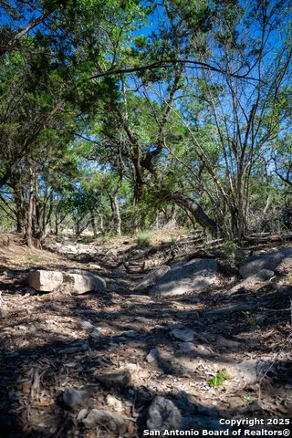 34720 Ansley Ridge Bulverde, TX 78163