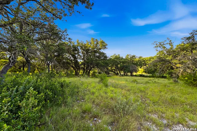 189 Taurus Ln Junction, TX 76849