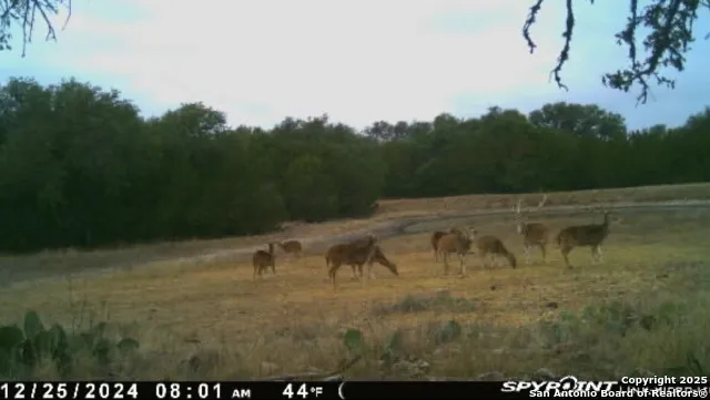 1540 Rough Rider Rd Roosevelt, TX 76874