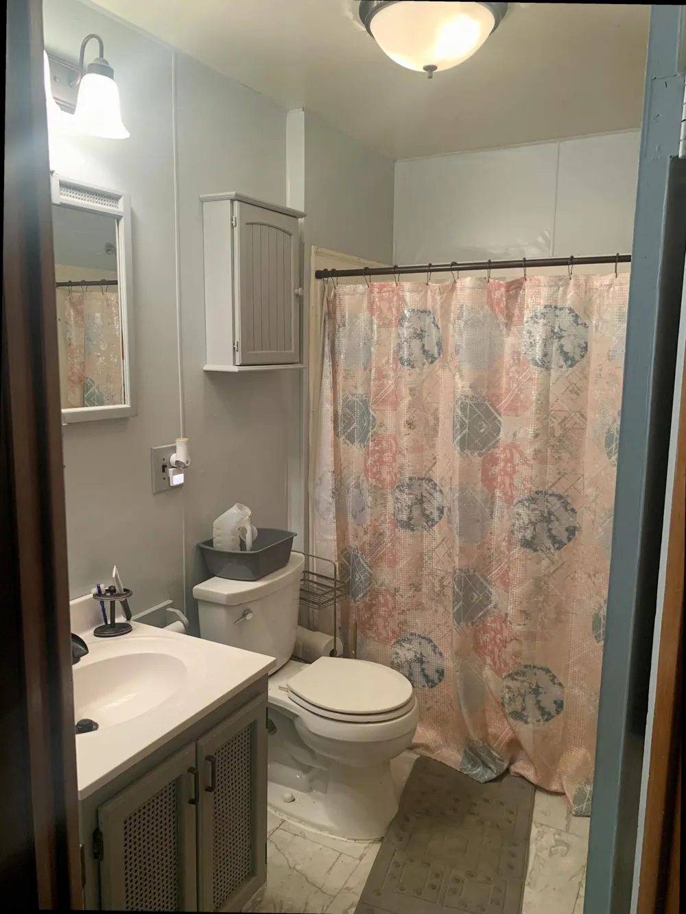 447 Riverside Drive Watervliet City, MI 49098