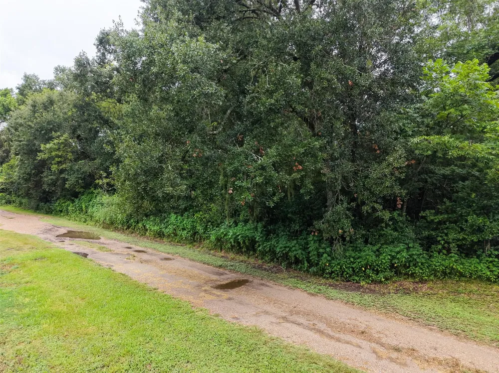 Pine Street Rosharon, TX 77583