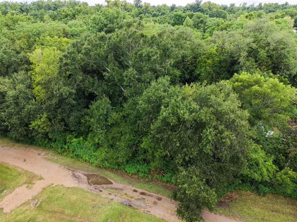 Pine Street Rosharon, TX 77583