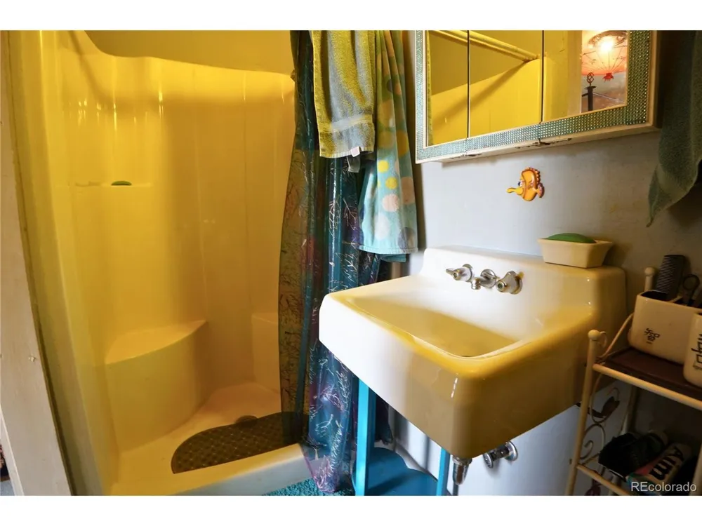 307 W Golden Avenue Cripple Creek, CO 80813