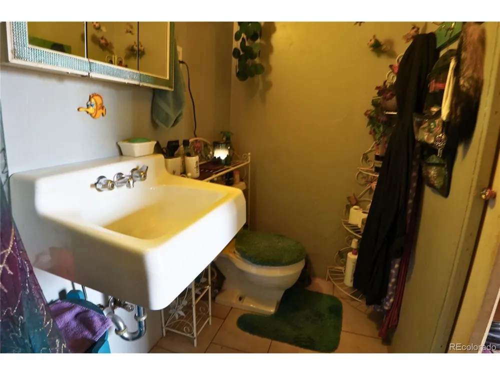 307 W Golden Avenue Cripple Creek, CO 80813