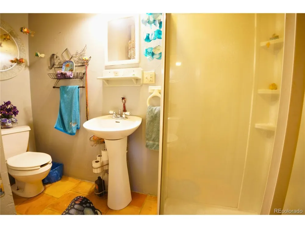 307 W Golden Avenue Cripple Creek, CO 80813