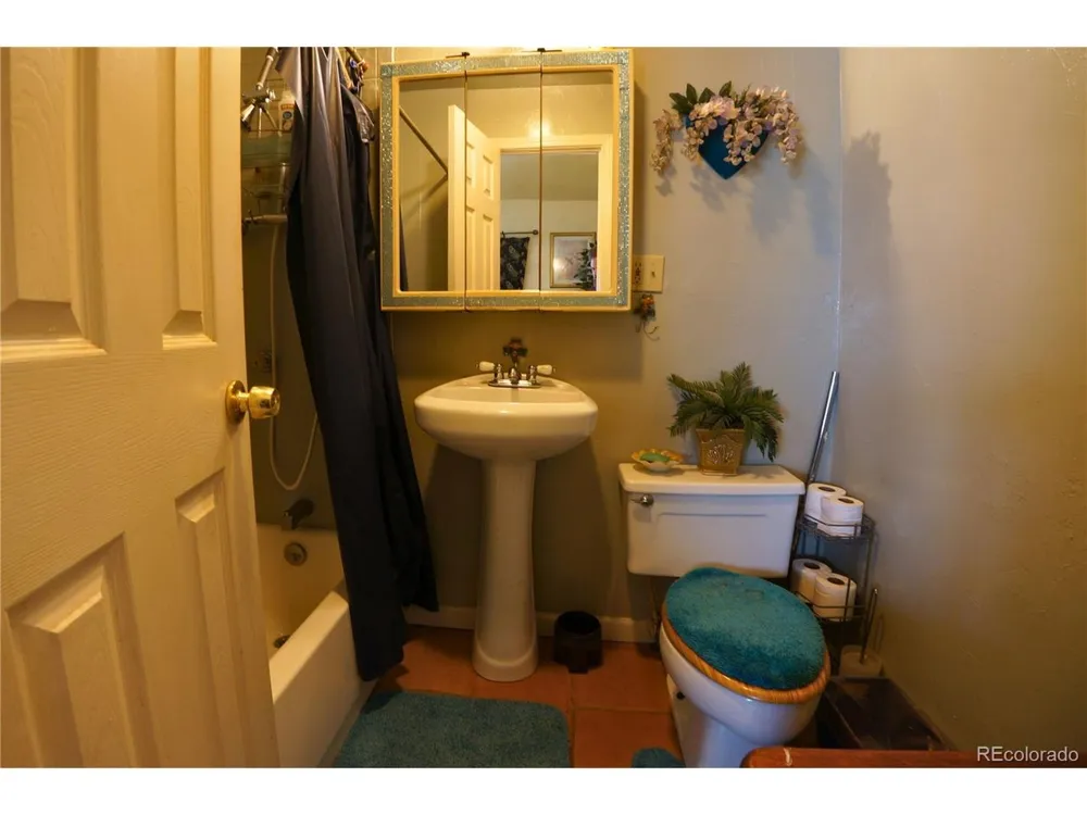 307 W Golden Avenue Cripple Creek, CO 80813