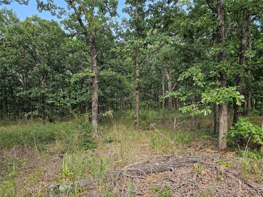 S 465th West Avenue Bristow, OK 74010