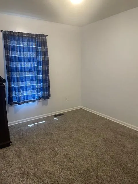 20790 Briarwood Street Brownstown, MI 48183