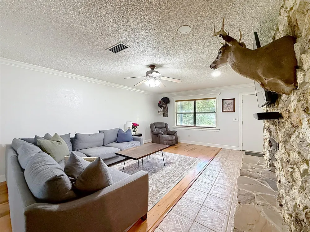 26586 SE HIGHWAY 42 Umatilla, FL 32784