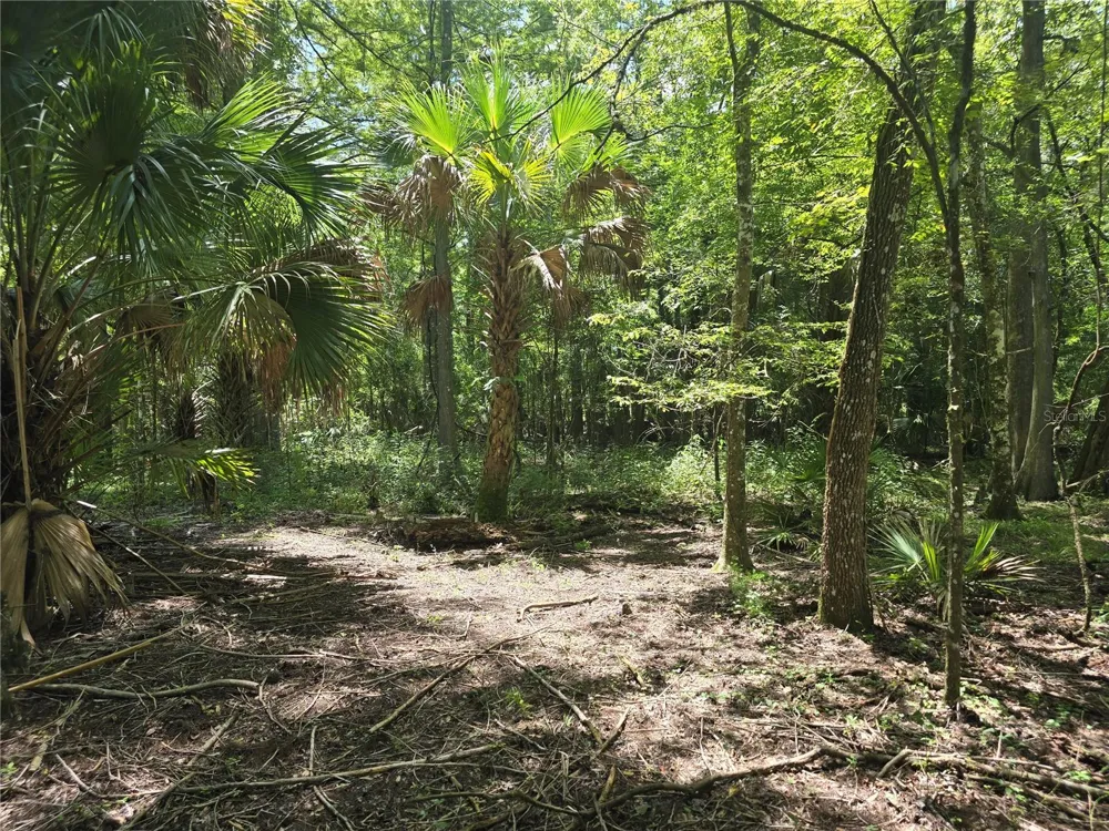 7521 S CLAY TERRACE Floral City, FL 34436