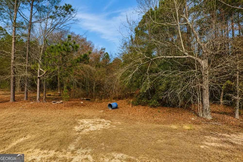 6965 Jim Pruett RD Eastman, GA 31023