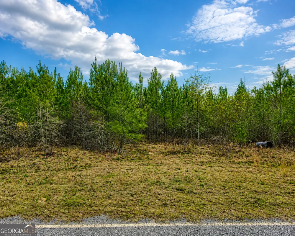 6965 Jim Pruett RD Eastman, GA 31023