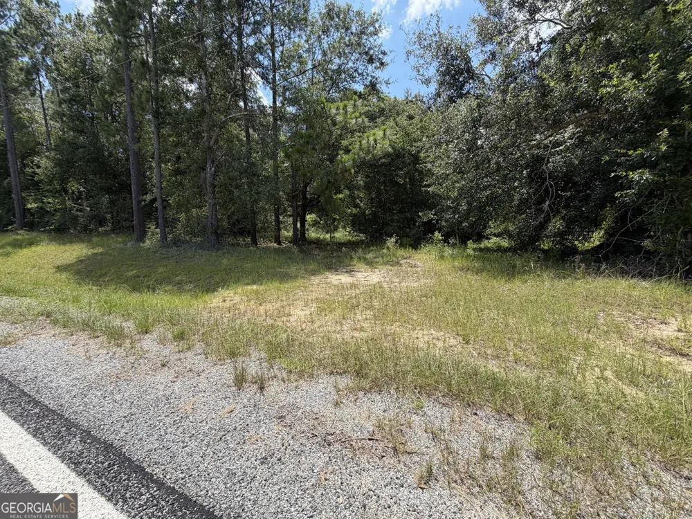 6965 Jim Pruett RD Eastman, GA 31023