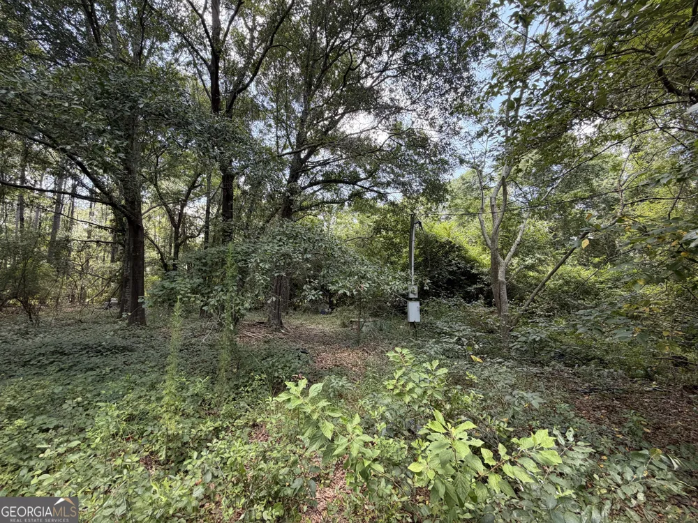 6965 Jim Pruett RD Eastman, GA 31023