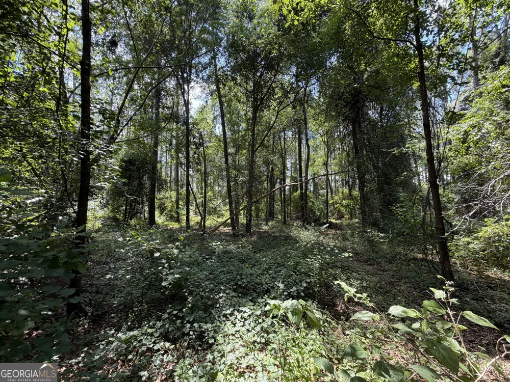 6965 Jim Pruett RD Eastman, GA 31023