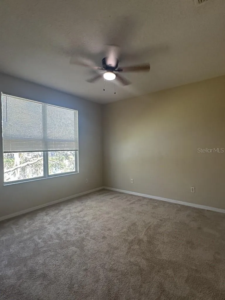 18048 JAVA ISLE DRIVE Tampa, FL 33647
