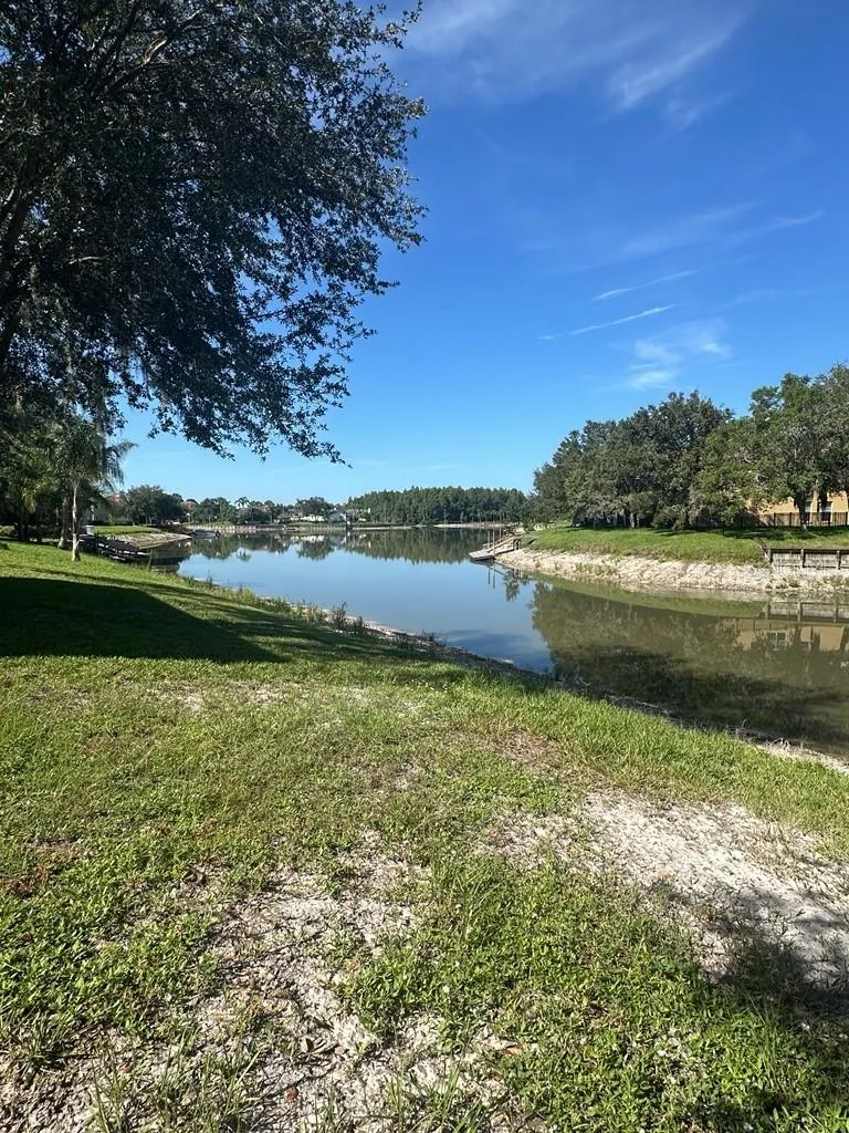 18048 JAVA ISLE DRIVE Tampa, FL 33647